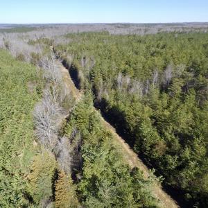 Photo #9 of SOLD property in Double Bridges Rd, Meherrin, VA 29.0 acres