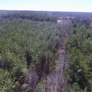 Photo #10 of SOLD property in Double Bridges Rd, Meherrin, VA 29.0 acres