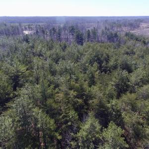 Photo #11 of SOLD property in Double Bridges Rd, Meherrin, VA 29.0 acres