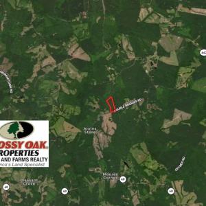 Photo #2 of SOLD property in Double Bridges Rd, Meherrin, VA 29.0 acres
