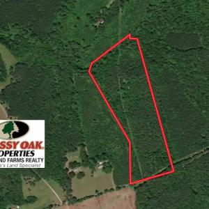 Photo #1 of SOLD property in Double Bridges Rd, Meherrin, VA 29.0 acres