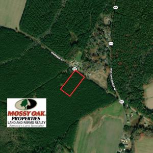 Photo #2 of SOLD property in Off Warrique Rd - Lot 4, Ivor, VA 3.0 acres
