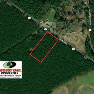 Photo #1 of SOLD property in Off Warrique Rd - Lot 4, Ivor, VA 3.0 acres