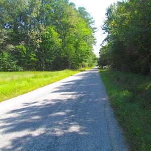 Photo #18 of SOLD property in Off Warrique Rd - Lot 4, Ivor, VA 3.0 acres