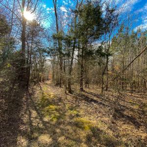Photo #3 of SOLD property in 150 Bark Road, Ruffin, NC 36.5 acres