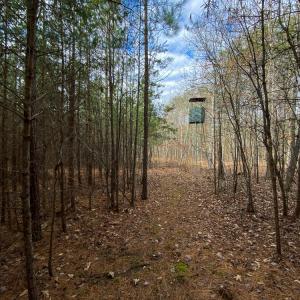 Photo #13 of SOLD property in 150 Bark Road, Ruffin, NC 36.5 acres