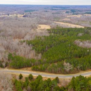 Photo #18 of SOLD property in 150 Bark Road, Ruffin, NC 36.5 acres