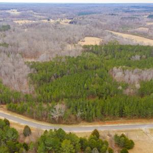 Photo #19 of SOLD property in 150 Bark Road, Ruffin, NC 36.5 acres