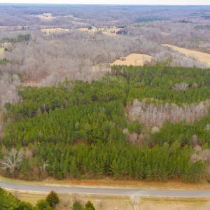 Photo #20 of SOLD property in 150 Bark Road, Ruffin, NC 36.5 acres
