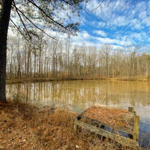 Photo #4 of SOLD property in 150 Bark Road, Ruffin, NC 36.5 acres