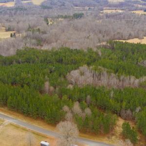 Photo #22 of SOLD property in 150 Bark Road, Ruffin, NC 36.5 acres
