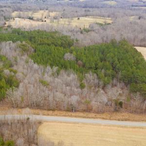 Photo #28 of SOLD property in 150 Bark Road, Ruffin, NC 36.5 acres