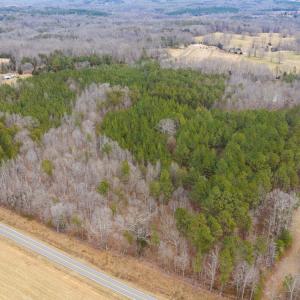 Photo #29 of SOLD property in 150 Bark Road, Ruffin, NC 36.5 acres