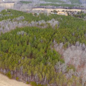 Photo #33 of SOLD property in 150 Bark Road, Ruffin, NC 36.5 acres