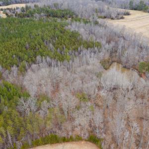 Photo #34 of SOLD property in 150 Bark Road, Ruffin, NC 36.5 acres