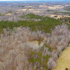 Photo #36 of SOLD property in 150 Bark Road, Ruffin, NC 36.5 acres