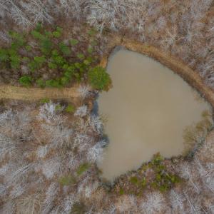 Photo #37 of SOLD property in 150 Bark Road, Ruffin, NC 36.5 acres