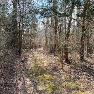 Photo #39 of SOLD property in 150 Bark Road, Ruffin, NC 36.5 acres