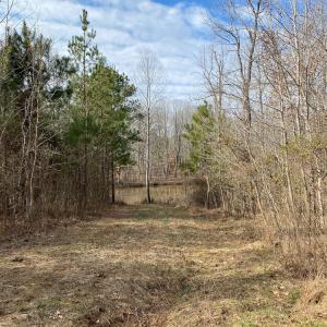 Photo #40 of SOLD property in 150 Bark Road, Ruffin, NC 36.5 acres