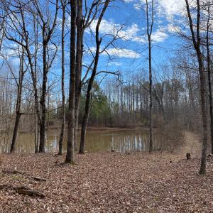 Photo #41 of SOLD property in 150 Bark Road, Ruffin, NC 36.5 acres