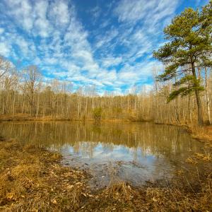 Photo #6 of SOLD property in 150 Bark Road, Ruffin, NC 36.5 acres