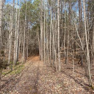 Photo #42 of SOLD property in 150 Bark Road, Ruffin, NC 36.5 acres