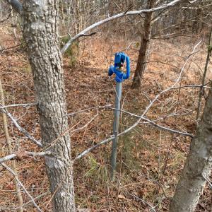 Photo #48 of SOLD property in 150 Bark Road, Ruffin, NC 36.5 acres