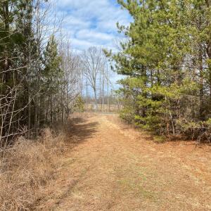 Photo #49 of SOLD property in 150 Bark Road, Ruffin, NC 36.5 acres