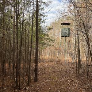 Photo #50 of SOLD property in 150 Bark Road, Ruffin, NC 36.5 acres