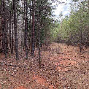 Photo #51 of SOLD property in 150 Bark Road, Ruffin, NC 36.5 acres