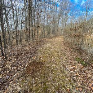 Photo #7 of SOLD property in 150 Bark Road, Ruffin, NC 36.5 acres