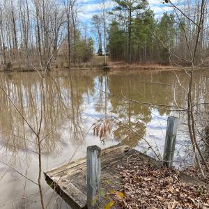 Photo #53 of SOLD property in 150 Bark Road, Ruffin, NC 36.5 acres