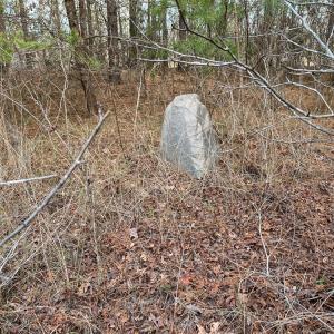 Photo #55 of SOLD property in 150 Bark Road, Ruffin, NC 36.5 acres