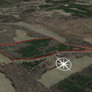 Photo #57 of SOLD property in 150 Bark Road, Ruffin, NC 36.5 acres