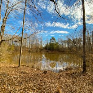 Photo #8 of SOLD property in 150 Bark Road, Ruffin, NC 36.5 acres