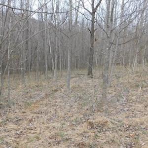 Photo #6 of SOLD property in Off Pine Spur Ln, Ararat, VA 15.4 acres