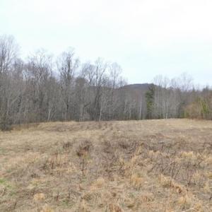 Photo #7 of SOLD property in Off Pine Spur Ln, Ararat, VA 15.4 acres