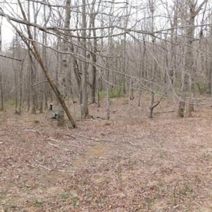 Photo #8 of SOLD property in Off Pine Spur Ln, Ararat, VA 15.4 acres
