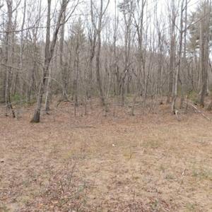 Photo #9 of SOLD property in Off Pine Spur Ln, Ararat, VA 15.4 acres