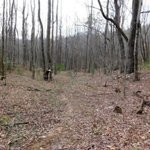 Photo #10 of SOLD property in Off Pine Spur Ln, Ararat, VA 15.4 acres