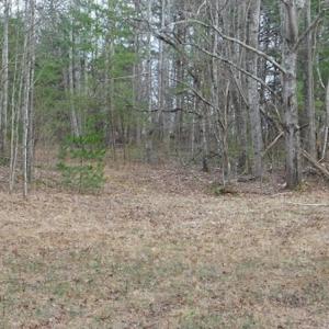 Photo #14 of SOLD property in Off Pine Spur Ln, Ararat, VA 15.4 acres