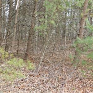 Photo #16 of SOLD property in Off Pine Spur Ln, Ararat, VA 15.4 acres
