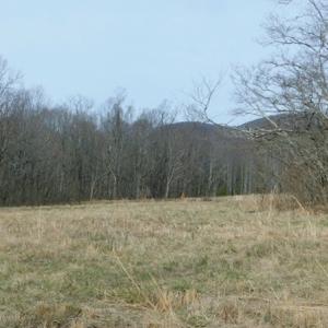 Photo #18 of SOLD property in Off Pine Spur Ln, Ararat, VA 15.4 acres