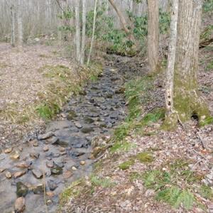 Photo #5 of SOLD property in Off Pine Spur Ln, Ararat, VA 15.4 acres