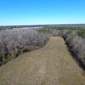 Photo #10 of Mill Branch Road, Fairmont, NC 147.5 acres
