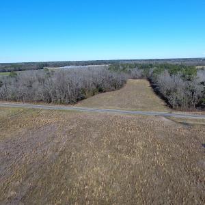 Photo #20 of Mill Branch Road, Fairmont, NC 147.5 acres