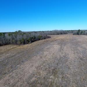 Photo #9 of Mill Branch Road, Fairmont, NC 147.5 acres