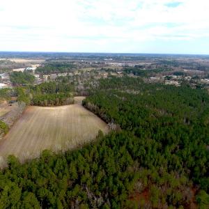 Photo #3 of SOLD property in Off Chadbourn Hwy, Chadbourn, NC 44.3 acres