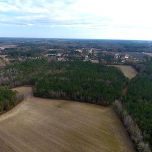 Photo #4 of SOLD property in Off Chadbourn Hwy, Chadbourn, NC 44.3 acres