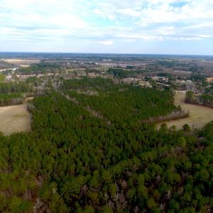 Photo #5 of SOLD property in Off Chadbourn Hwy, Chadbourn, NC 44.3 acres